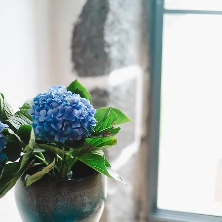 Dom wakacyjny Casa Da Petra Urzelina