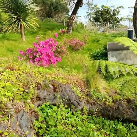 Dom wakacyjny Casa Da Petra