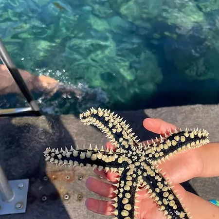 Casa Da Petra Urzelina