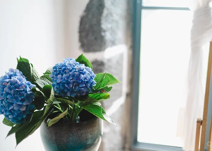 펜션 Casa Da Petra Urzelina