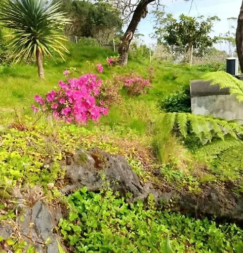 펜션 Casa Da Petra