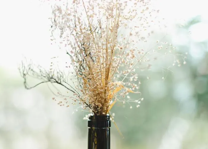 Casa Da Petra 펜션